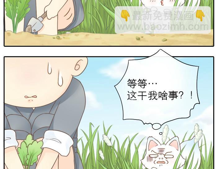 第2话 谁说狐狸不吃胡萝卜-第2话