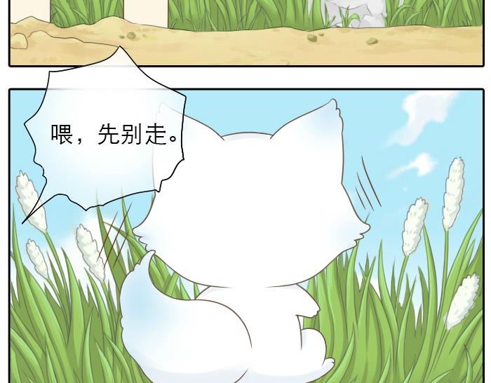 第2话 谁说狐狸不吃胡萝卜-第2话