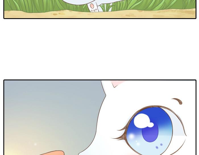 第2话 谁说狐狸不吃胡萝卜-第2话