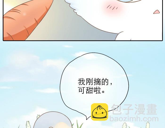 第2话 谁说狐狸不吃胡萝卜-第2话