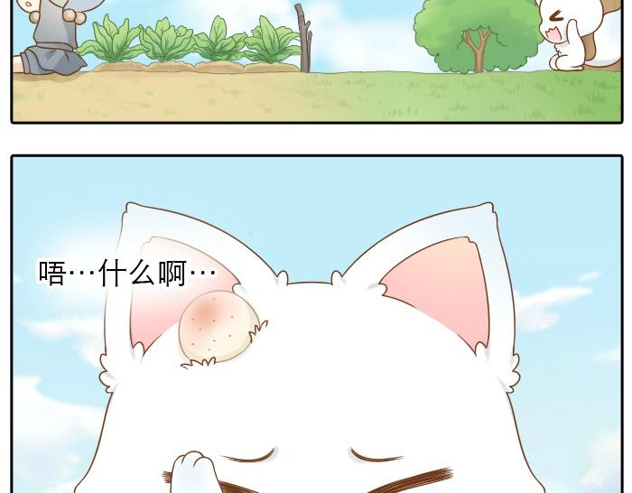 第12话 多日不见，小狐狸为何却跟踪小和尚？-第12话