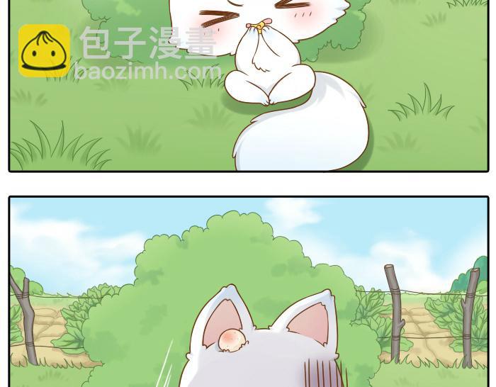 第12话 多日不见，小狐狸为何却跟踪小和尚？-第12话