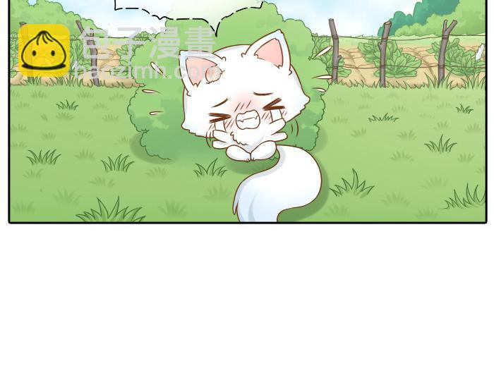 第12话 多日不见，小狐狸为何却跟踪小和尚？-第12话