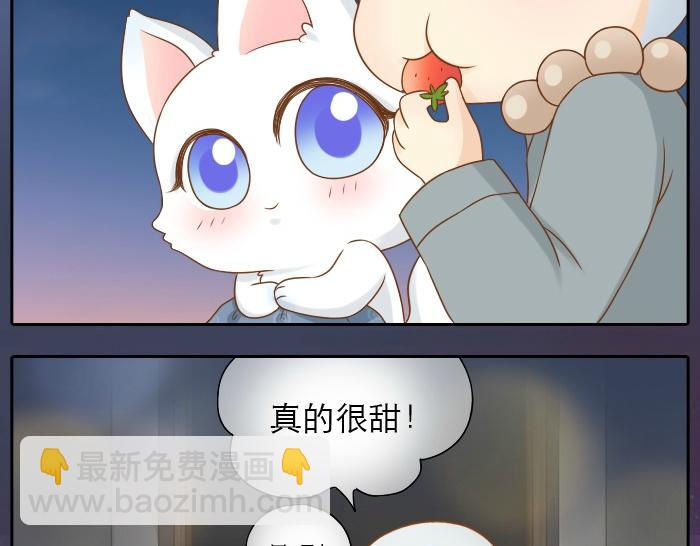 第14话 小和尚给的草莓都甜到心里去了呢~-第14话