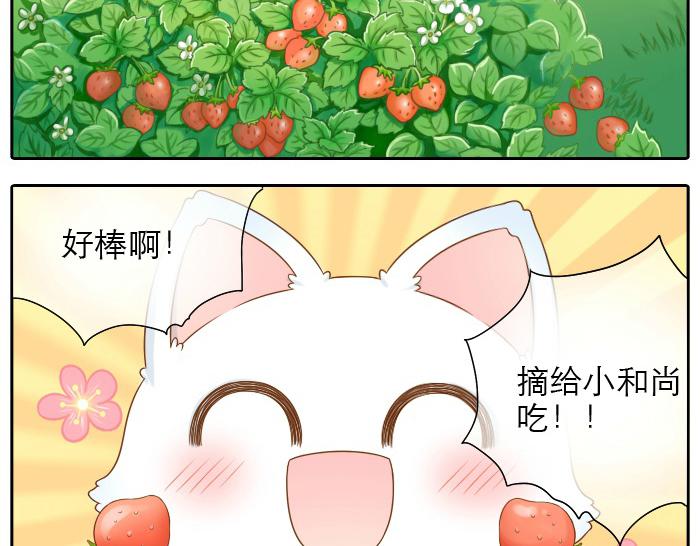第14话 小和尚给的草莓都甜到心里去了呢~-第14话