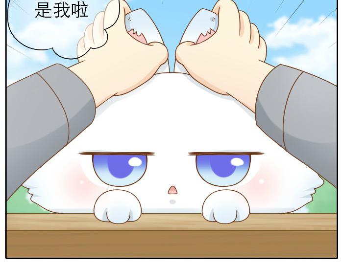 第16话 拨浪鼓带着小和尚与小狐狸穿越了！！！-第16话