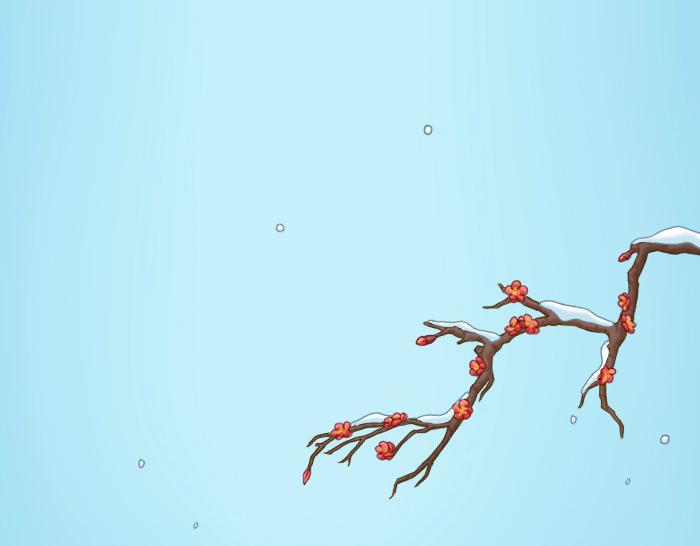 第22话 定情信物！-第22话