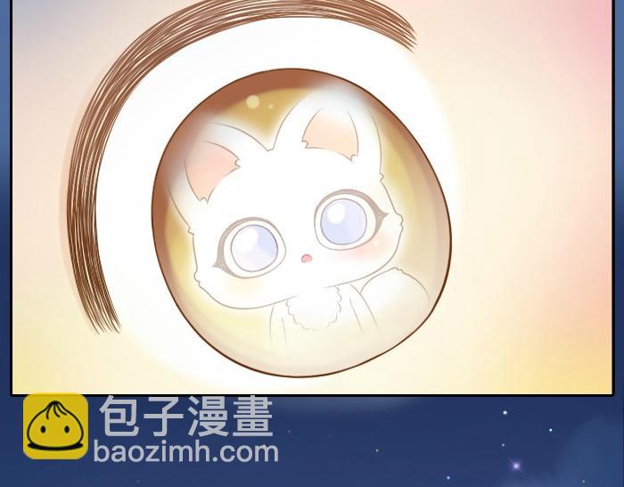 第44话 你的宝藏在哪呢？-第44话