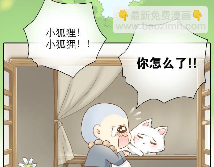 第8话 为了保护小和尚小狐狸身负重伤！-第8话