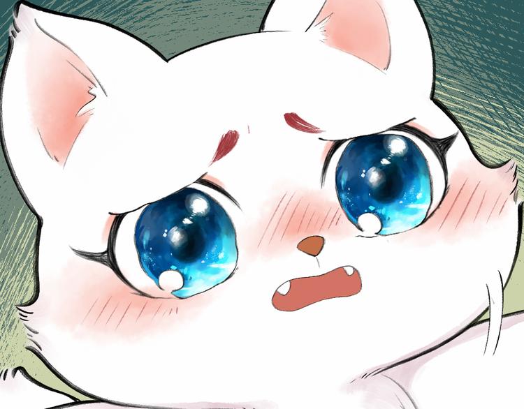 第10话 对不起(1/2)-第86话