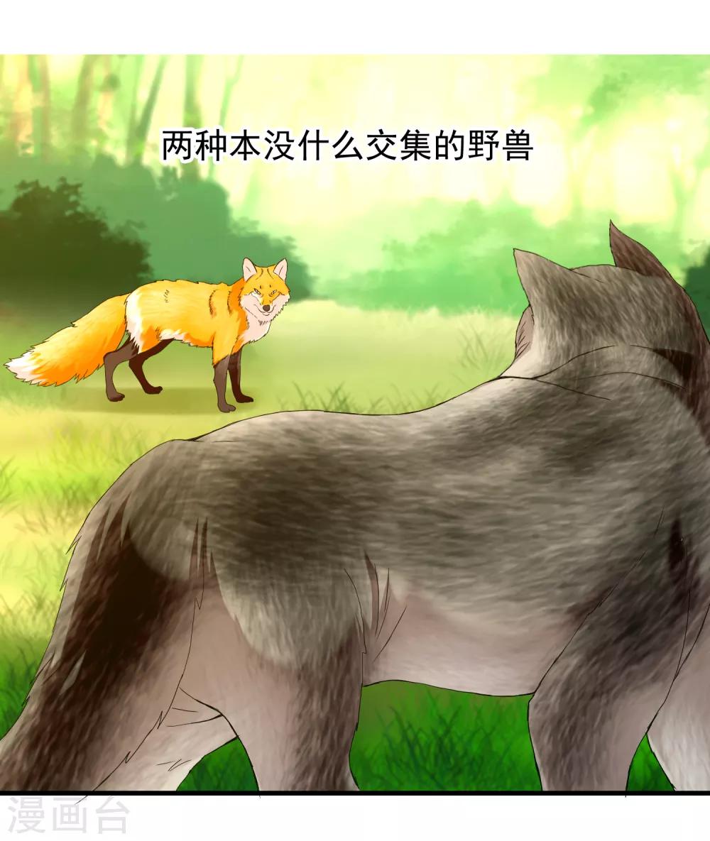 第210话 狐狸和狼的时间-第216话