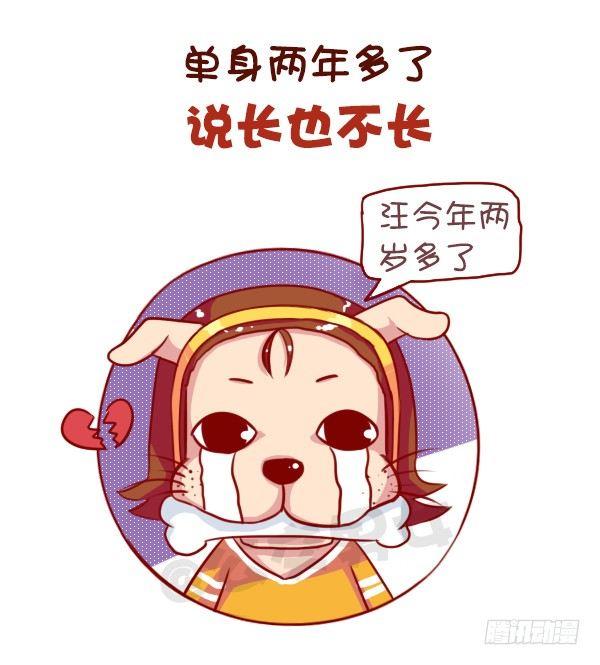 公交男女爆笑漫画 - 长期单身是一种什么体验 - 2