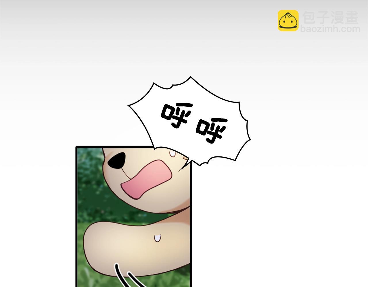 第9话 勇敢熊熊，不怕猫猫！(1/3)-第10话