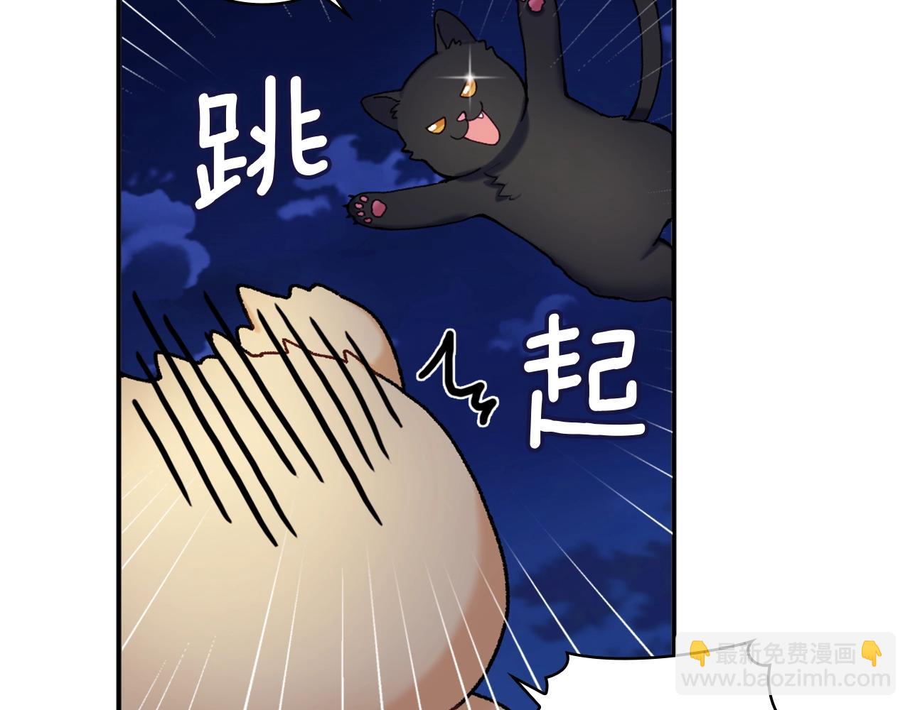 第9话 勇敢熊熊，不怕猫猫！(1/3)-第10话