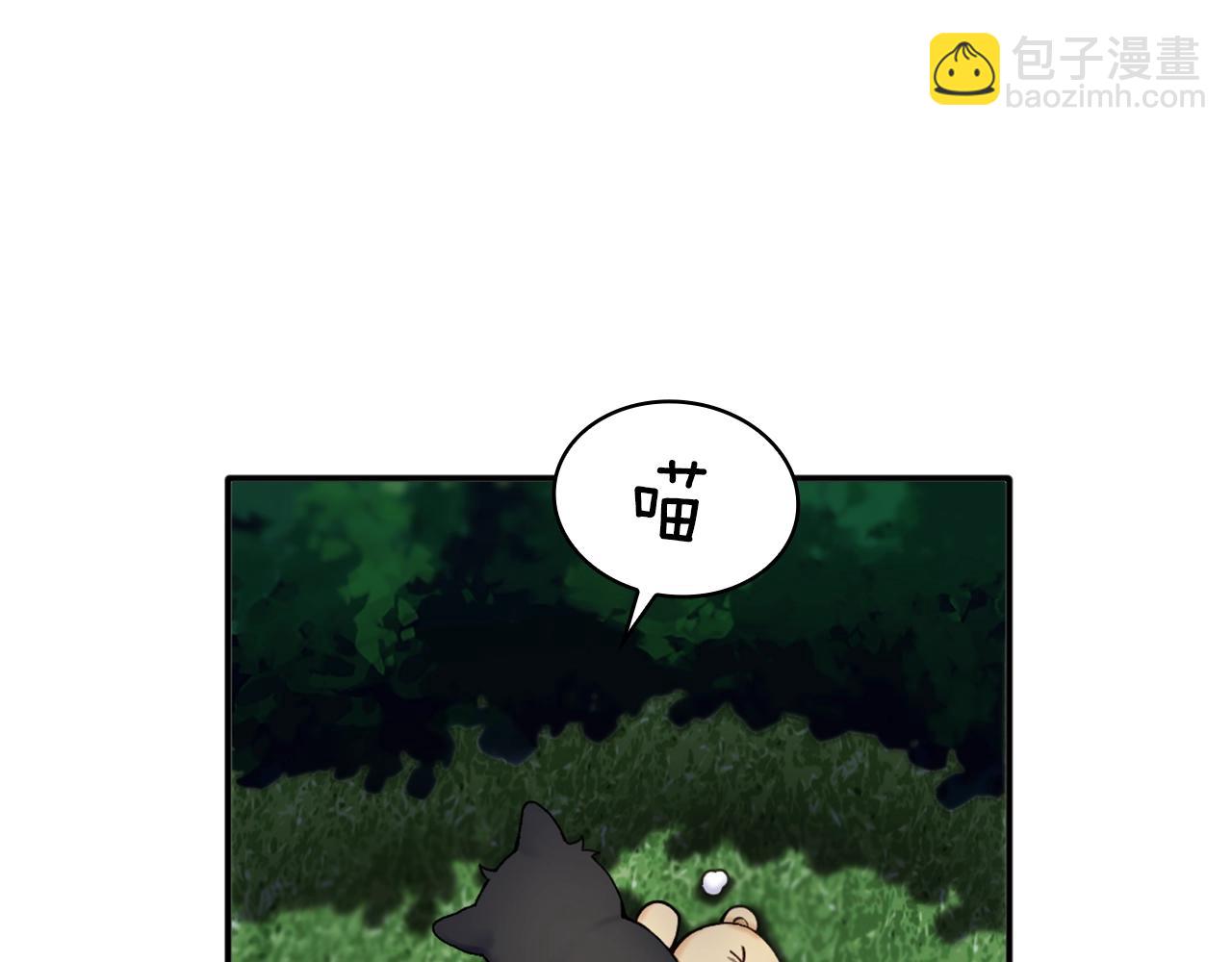 第9话 勇敢熊熊，不怕猫猫！(1/3)-第10话