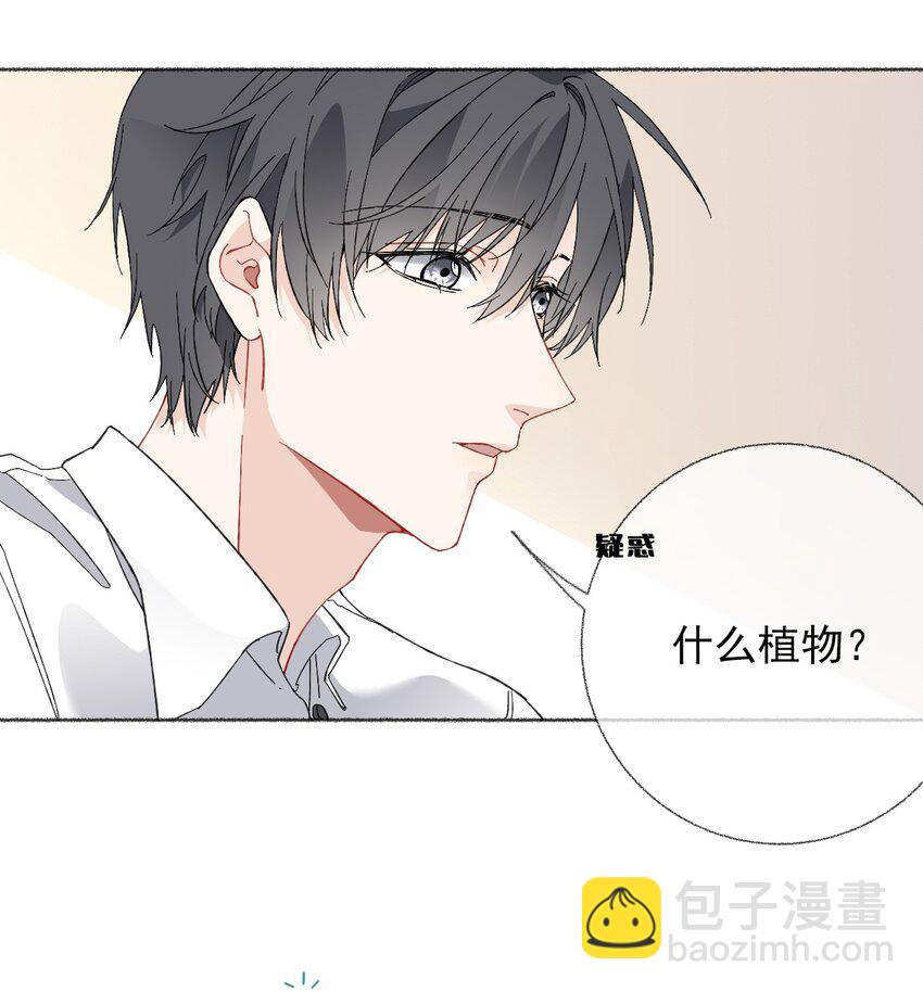 024 我会变成一棵植物-第24话