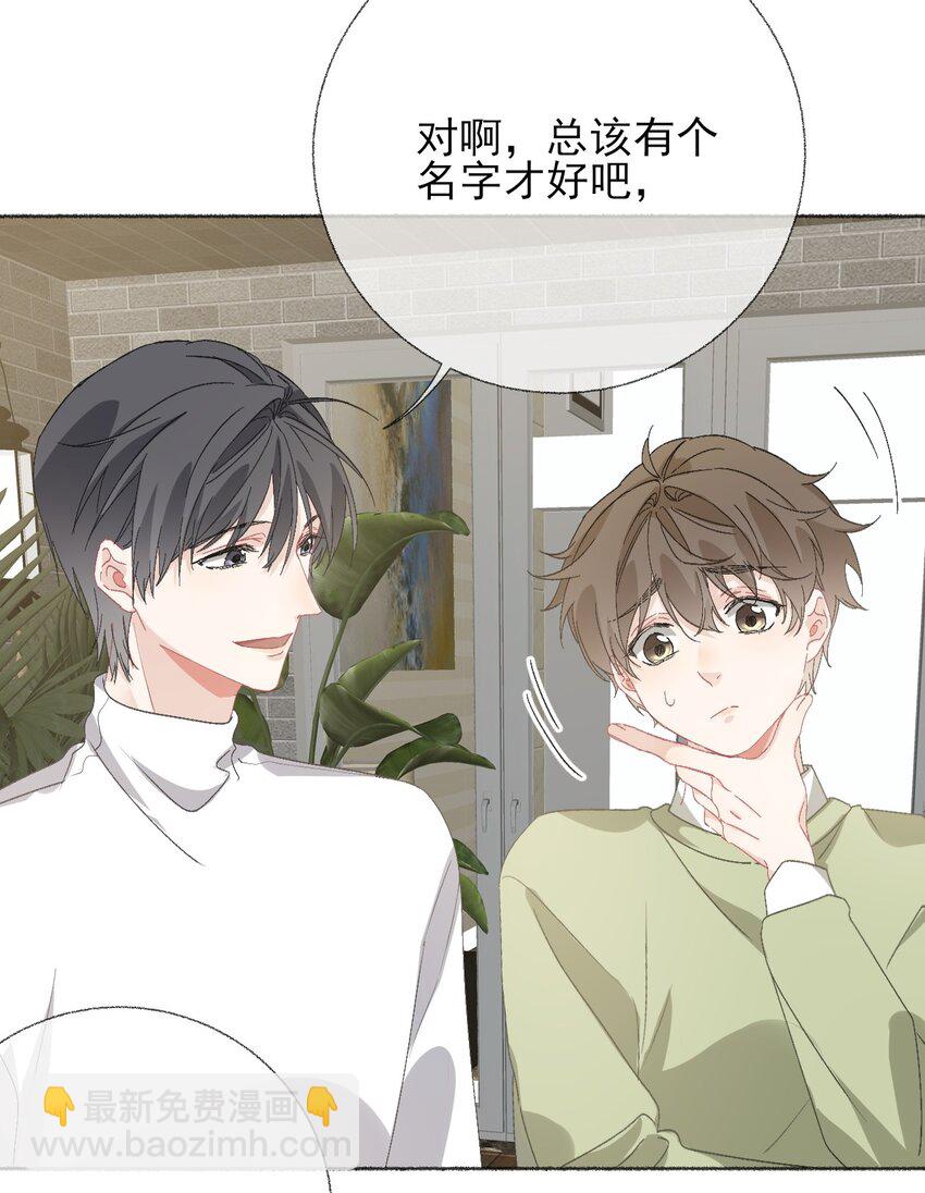 040 罄哥哥，好喜欢你-第40话