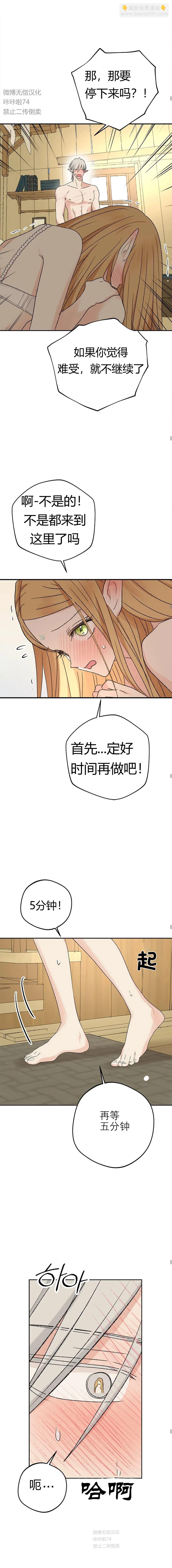 攻略精靈 - 第11話 - 1