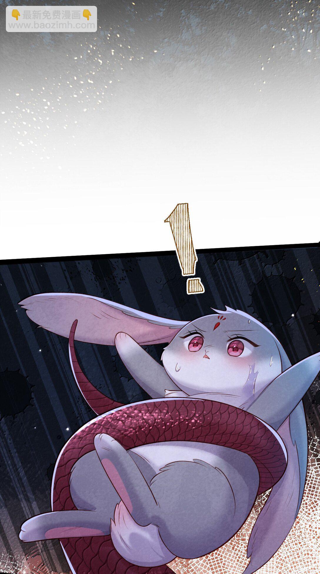 028 兔兔赛跑-第28话