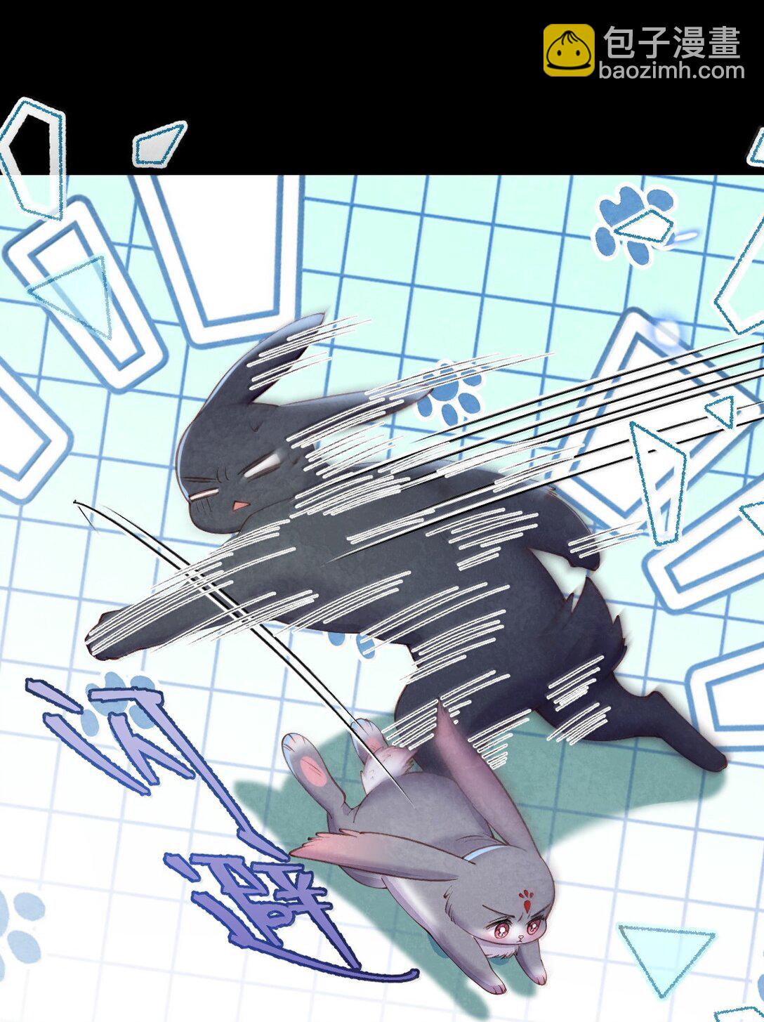 028 兔兔赛跑-第28话