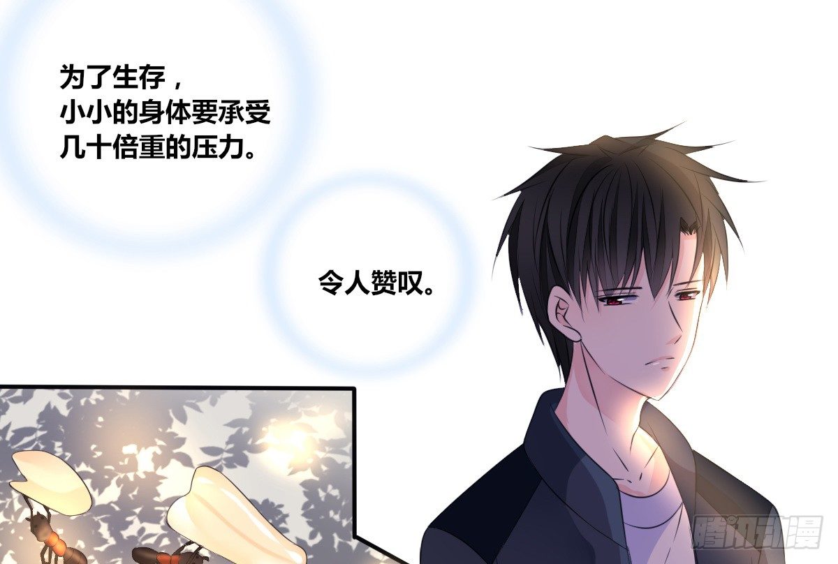 零灵是谁？(1/3)-第30话