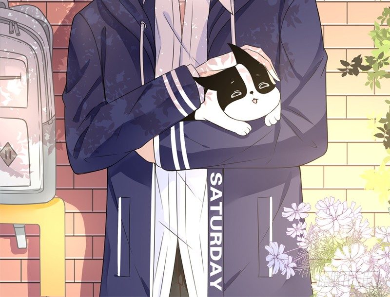 别怕，你的身体里...有我(1/2)-第6话