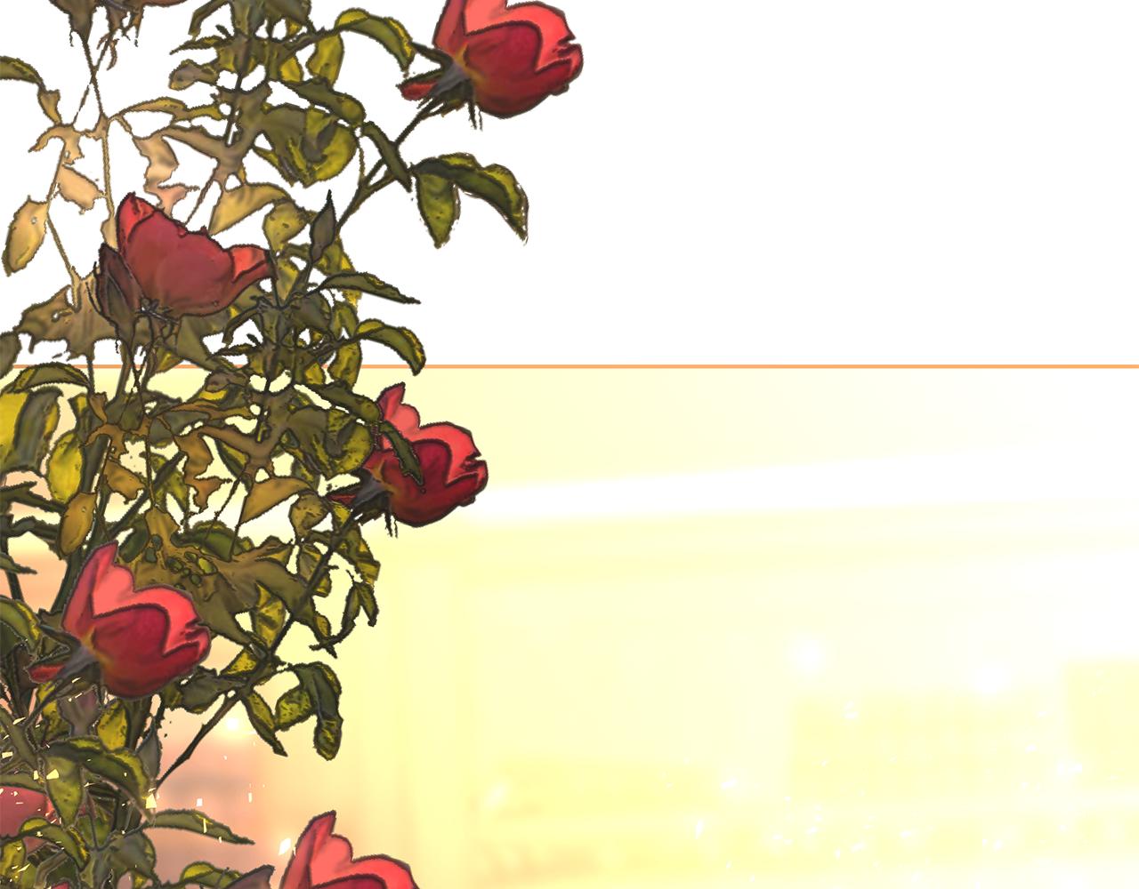 第31话 莫名的警告(1/4)-第34话