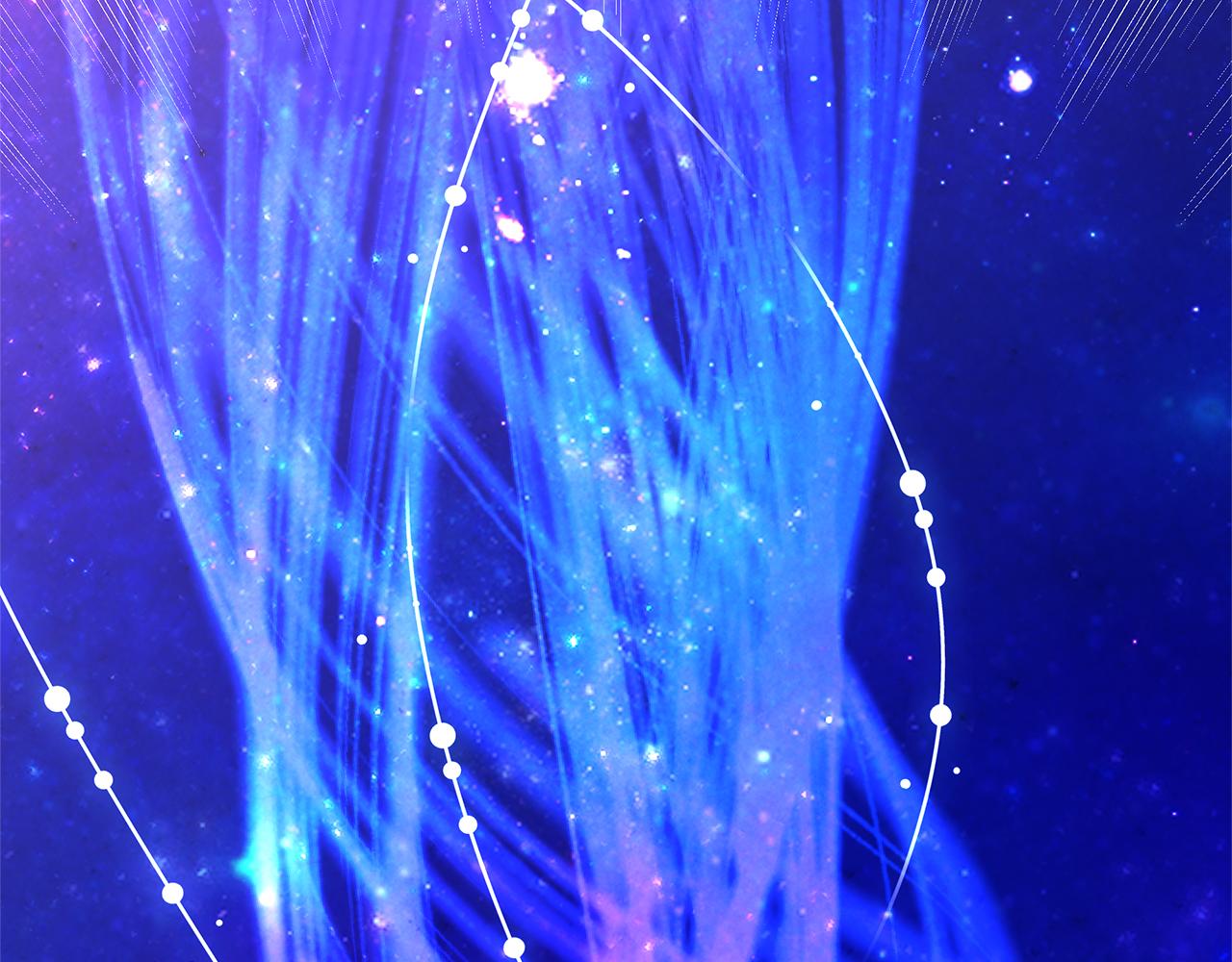 第55话 正式介绍(1/6)-第58话