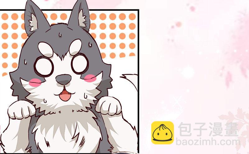 第011话 新角色登场！-第12话