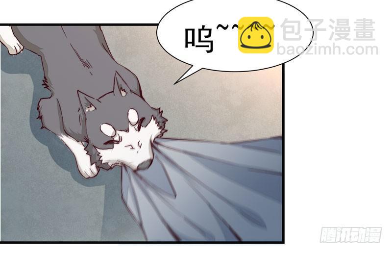 第011话 新角色登场！-第12话