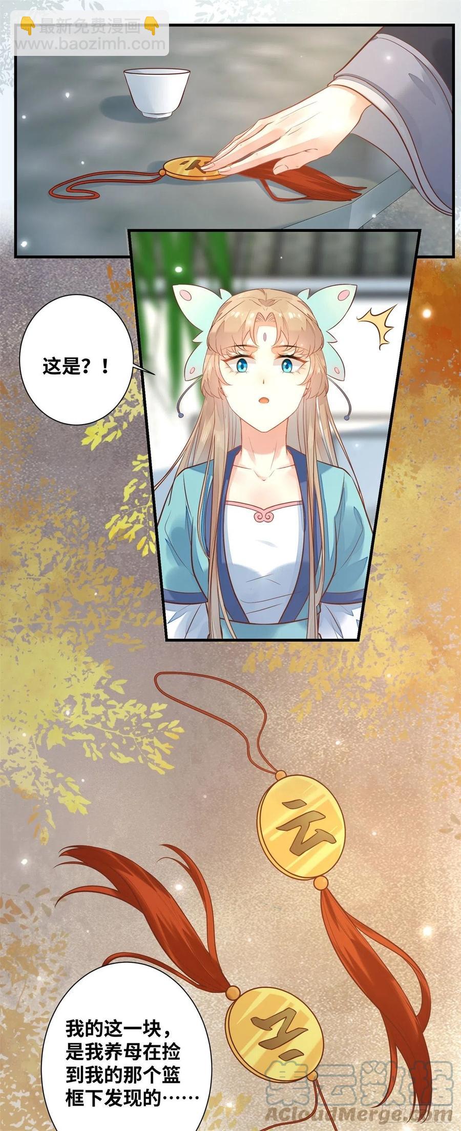 第194话 四皇子的心意-第200话