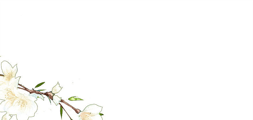 兄妹间的斗智斗勇(1/2)-第26话