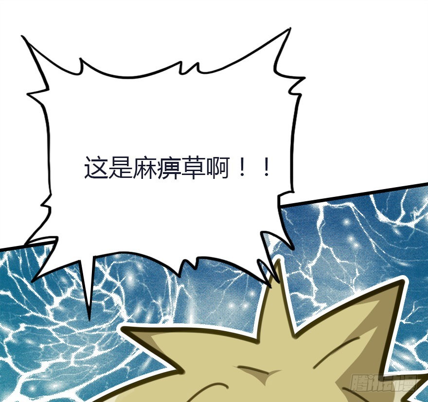 十一特别篇2(1/2)-第62话