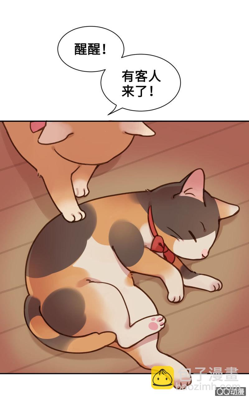 Prologue『珈琲薛丁阁』-第2话