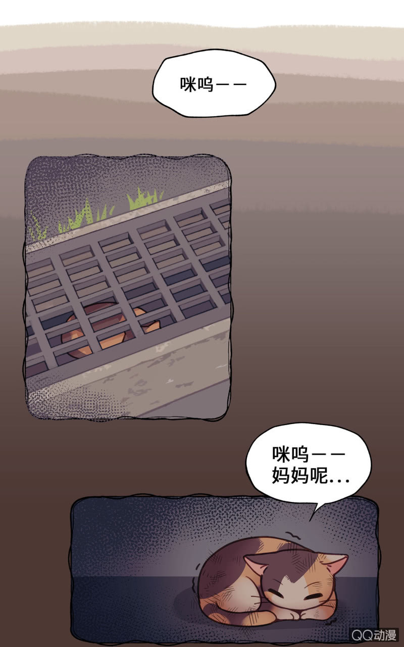 Prologue『珈琲薛丁阁』-第2话