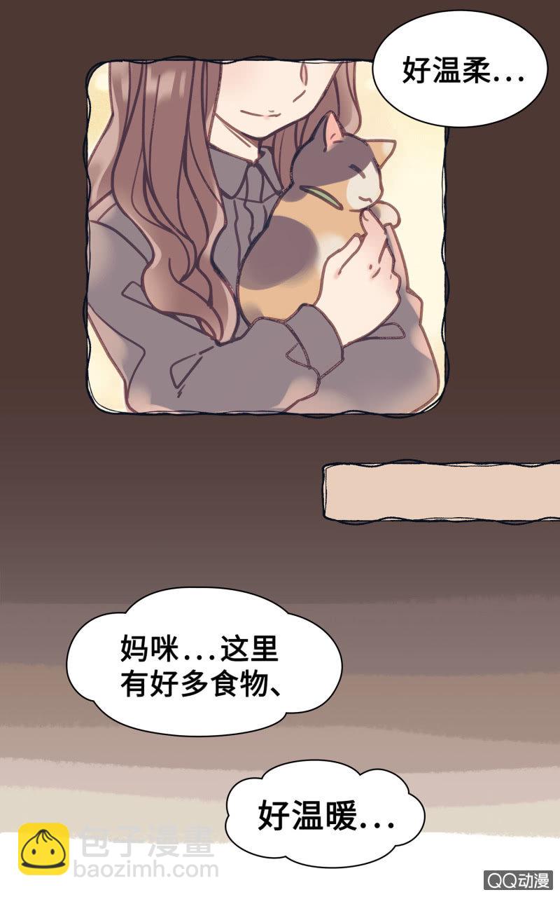 Prologue『珈琲薛丁阁』-第2话