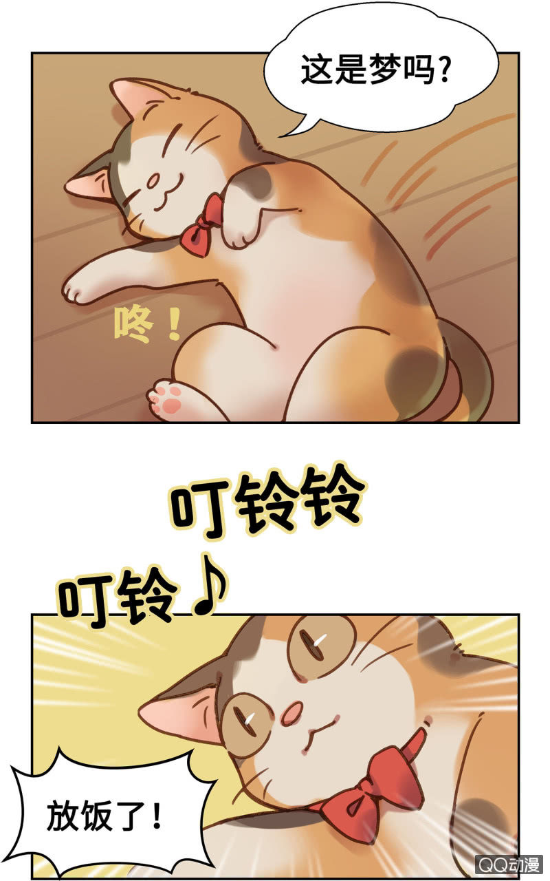 Prologue『珈琲薛丁阁』-第2话