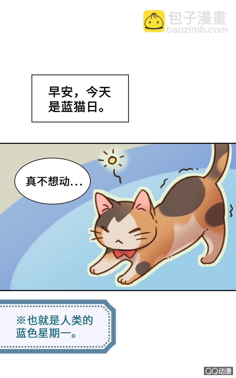 Prologue『珈琲薛丁阁』-第2话