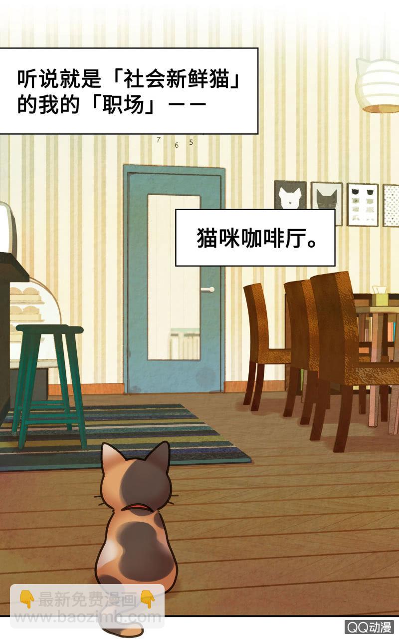 Prologue『珈琲薛丁阁』-第2话