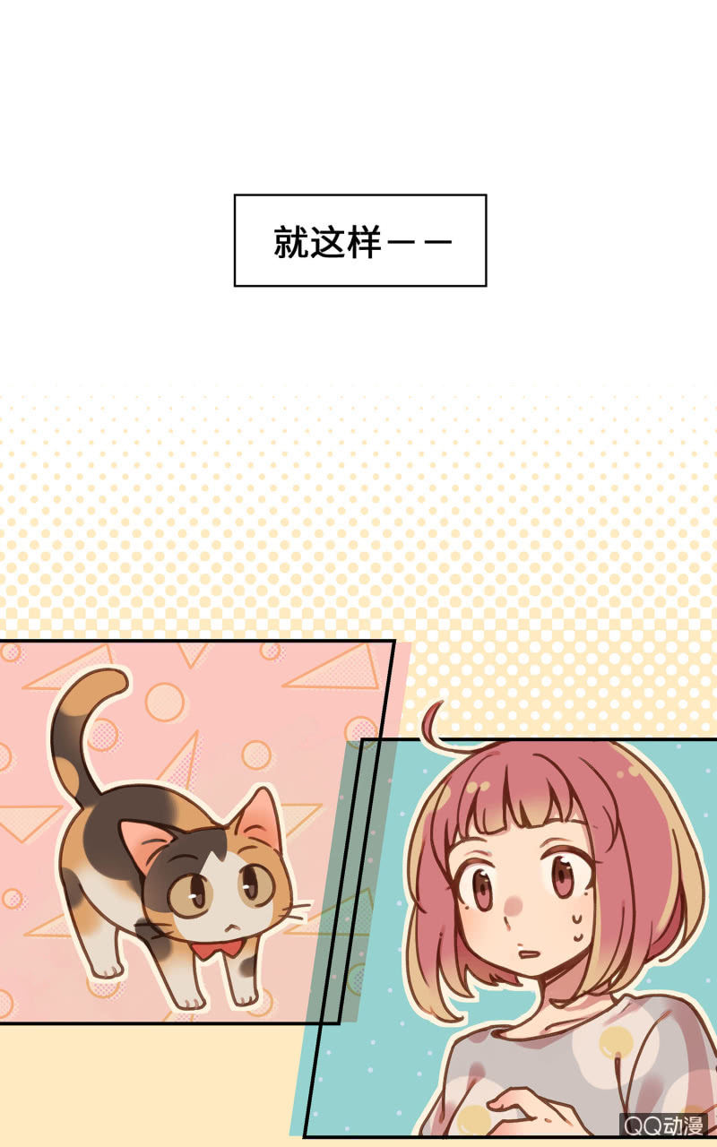 Prologue『珈琲薛丁阁』-第2话