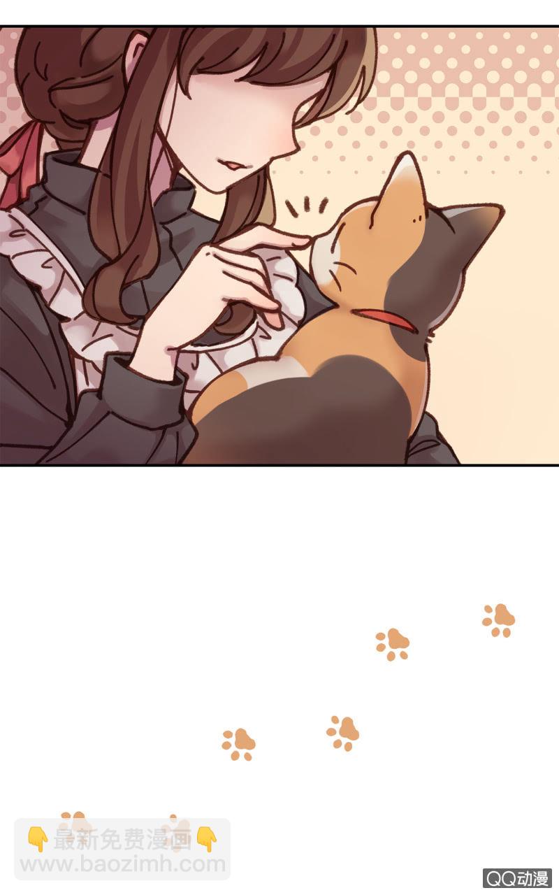 第10杯『猫法庭！』-第12话