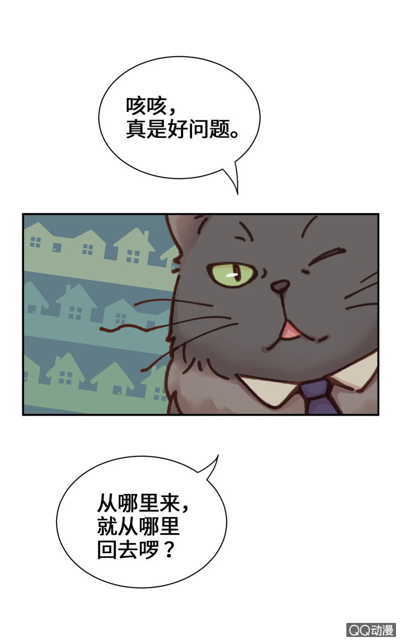 第10杯『猫法庭！』-第12话