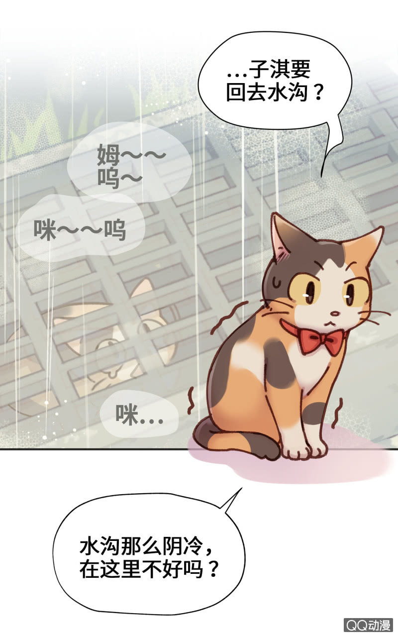 第10杯『猫法庭！』-第12话