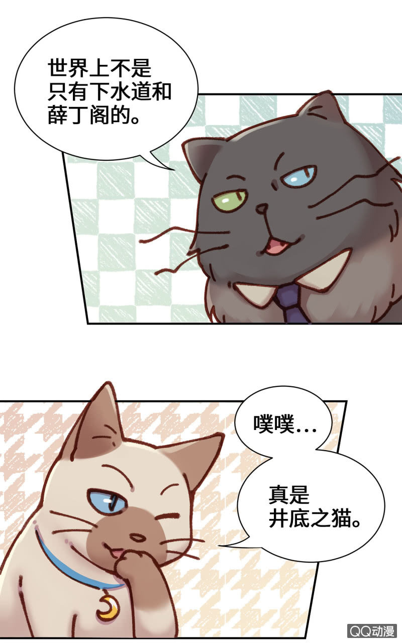 第10杯『猫法庭！』-第12话