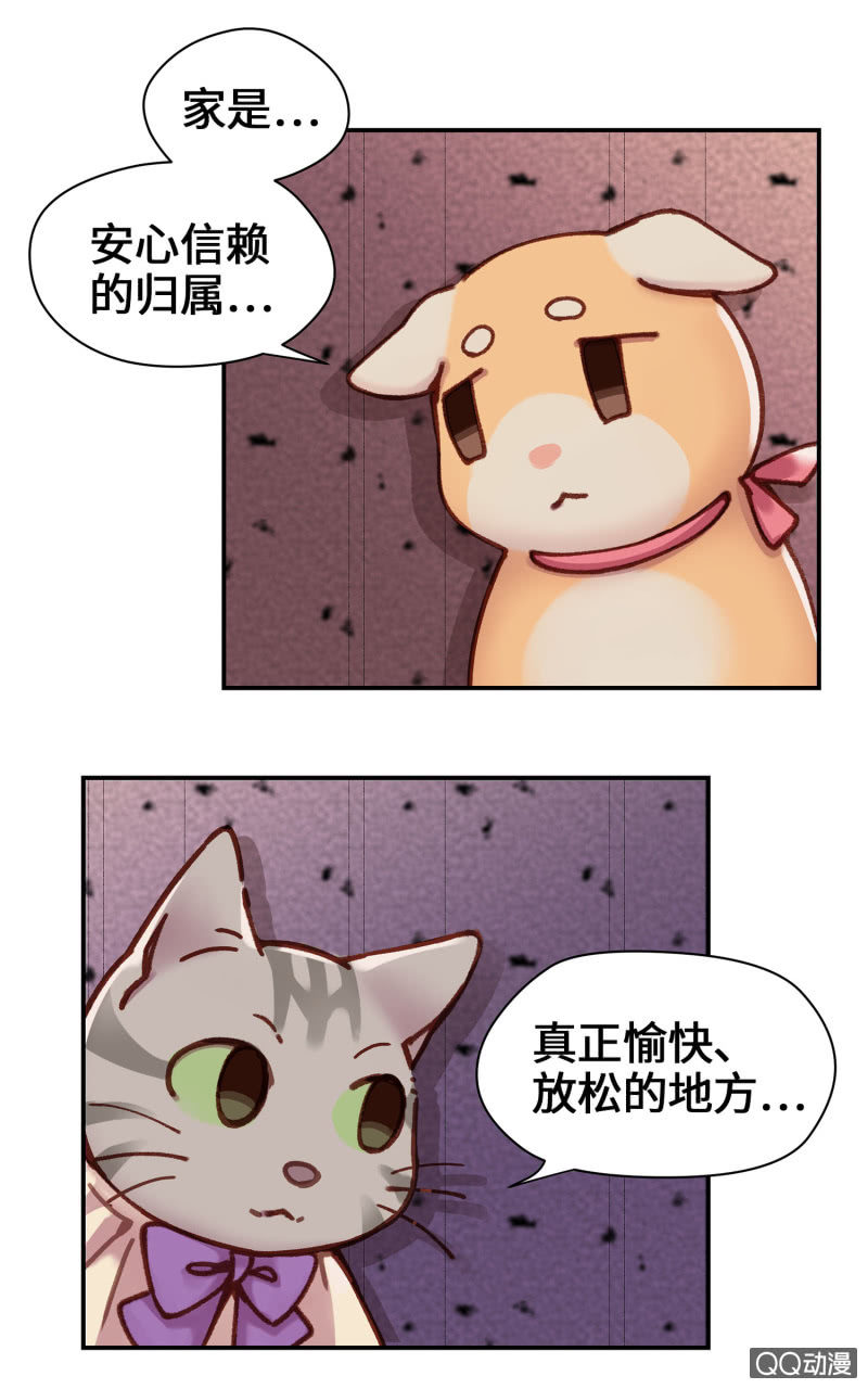 第10杯『猫法庭！』-第12话