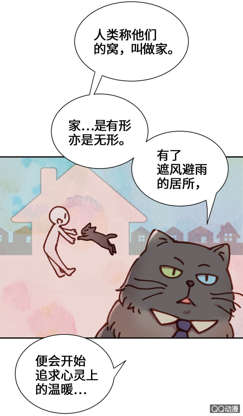 第10杯『猫法庭！』-第12话