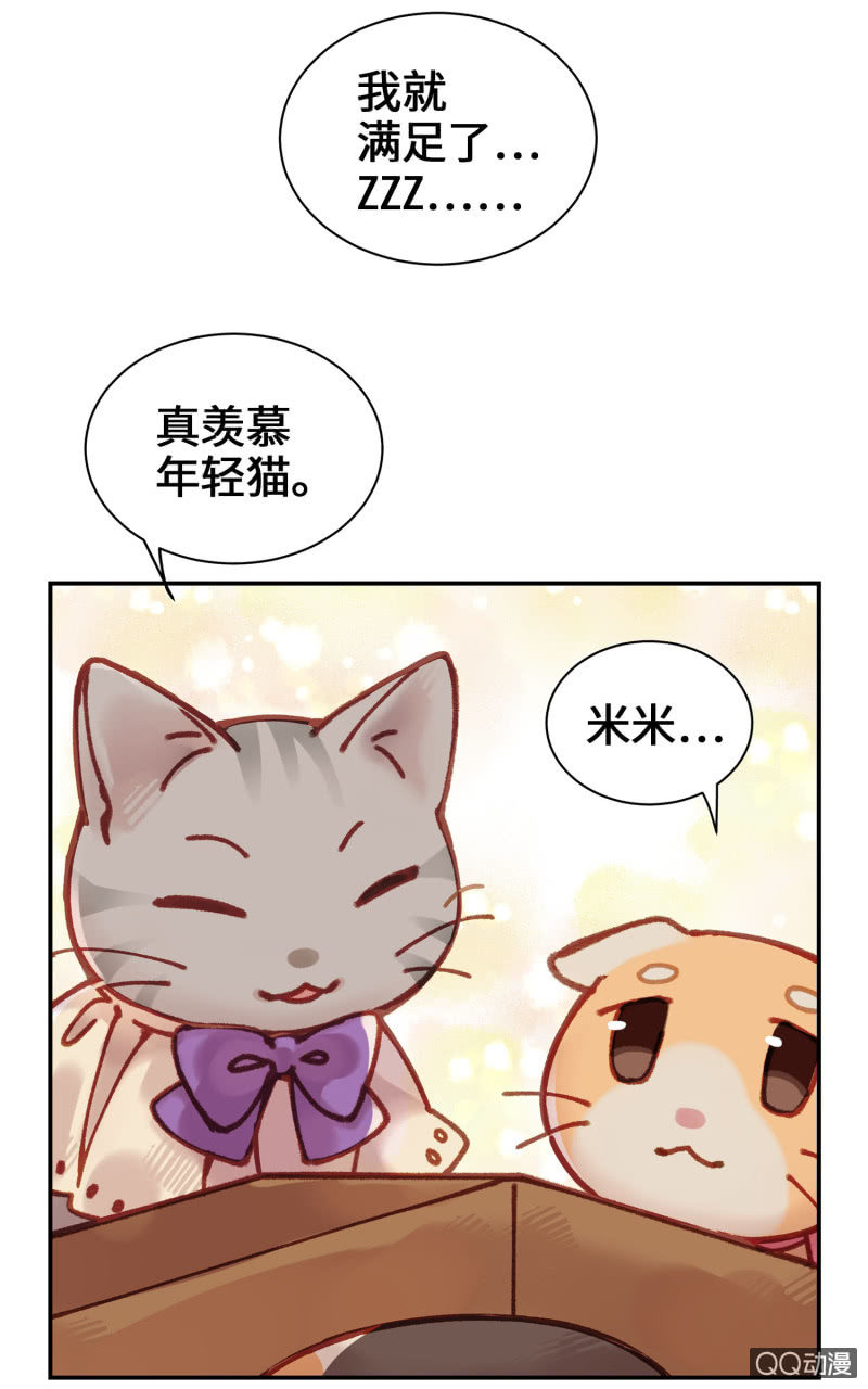 第10杯『猫法庭！』-第12话