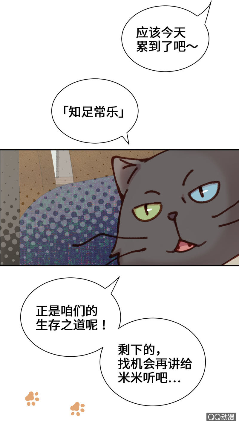 第10杯『猫法庭！』-第12话