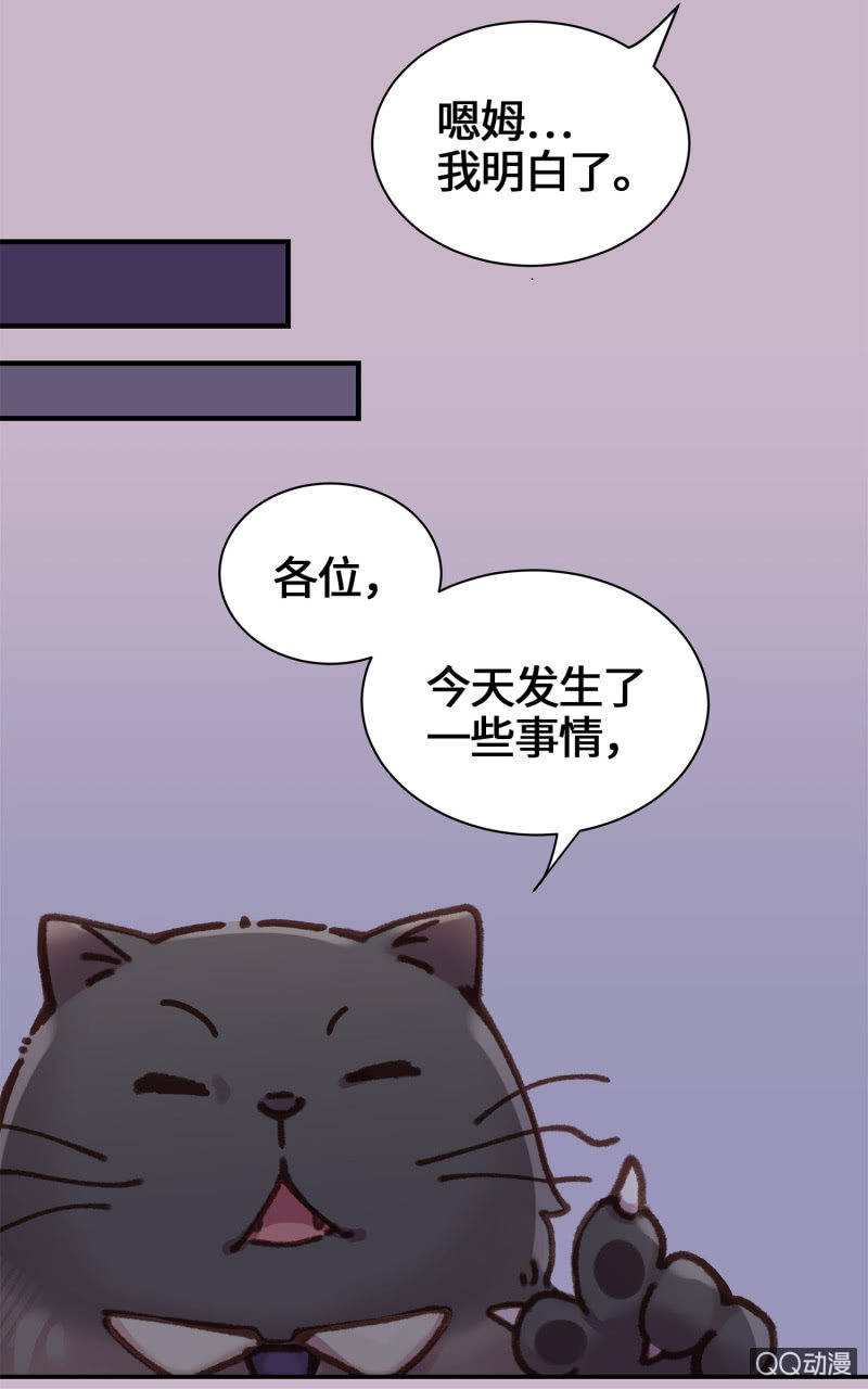 第10杯『猫法庭！』-第12话