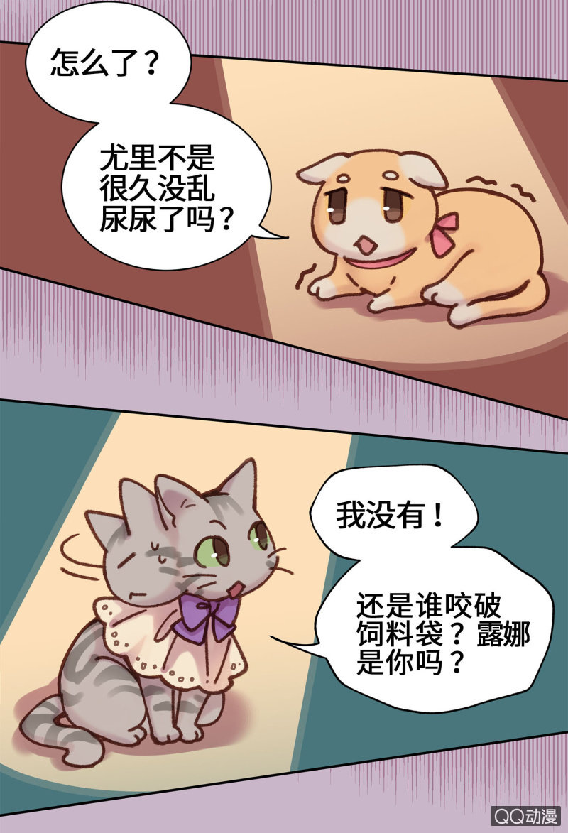 第10杯『猫法庭！』-第12话